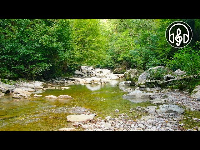 Sound of a Mountain River For Deep Sleep, Study and Relaxation. 6 Hours of Nature Videos.