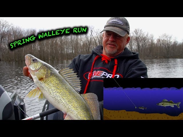 How to Catch Walleyes on the Wolf River (Tips and Tricks)