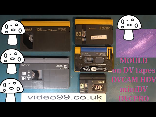 Mould on DVCPRO and other DV tapes. Applies to miniDV, DVCAM, HDV.