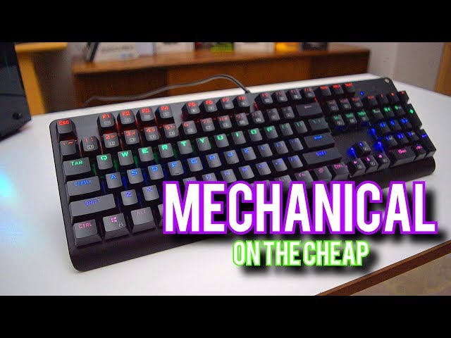 The CHEAPEST Mechanical Keyboard! Worth It?