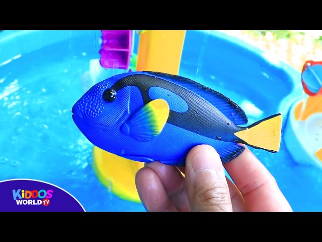 Water Table Play with Sea Animals Toys and Learn Different Types of Sea Animal Names and Videos.
