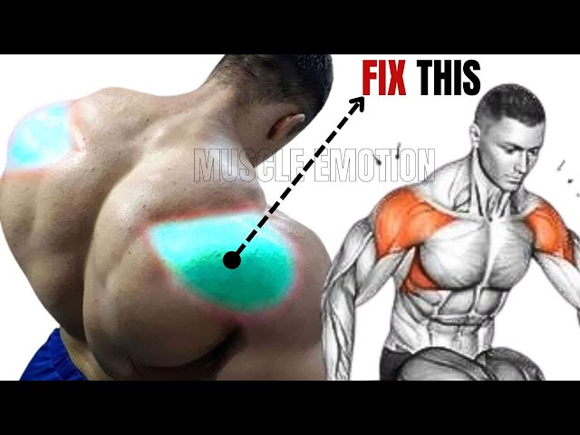 4 BEST REAR DELTOID EXERCISES WITH BODYWEIGHT
