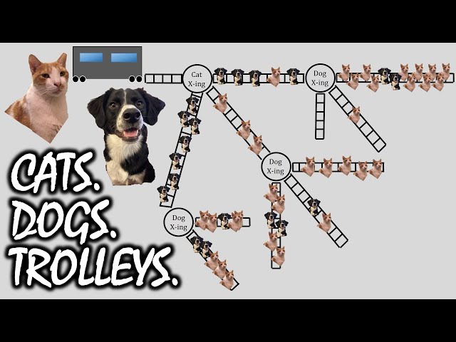 Cats vs. Dogs Trolley Problem: A Game Theory Puzzle