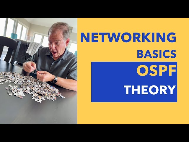 Networking Basics - OSPF Theory