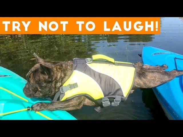 Ever-World's Hilarious Best Moments Can't Stop Laughing Compilation