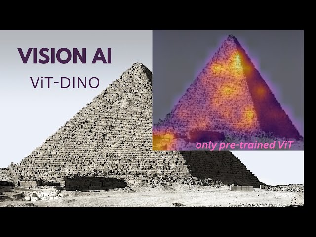 Visualizing the Self-Attention Head of the Last Layer in DINO ViT: A Unique Perspective on Vision AI