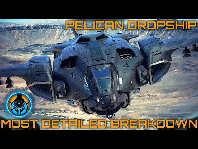Pelican - Most Detailed Breakdown