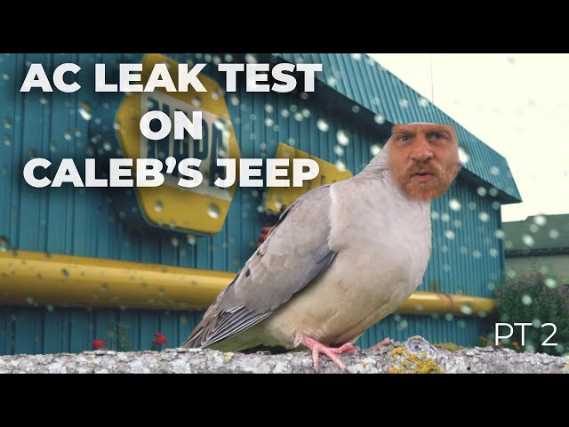 A/C Leak Test, Repair, Recharge Part 2 - Caleb's Jeep