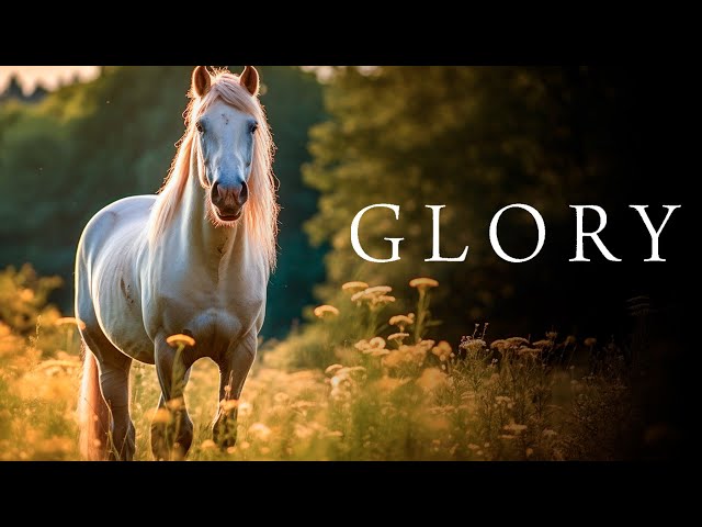 Glory (breathtaking HORSE FILM | full length animal film in German)
