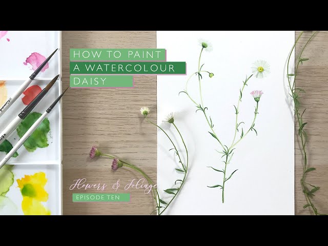 How to Paint a Watercolour Daisy