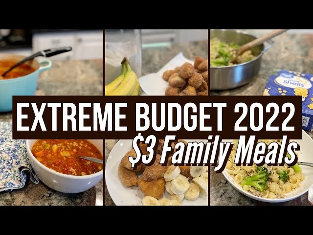EXTREME BUDGET FAMILY MEALS for $3! // EXTREME BUDGET CHALLENGE