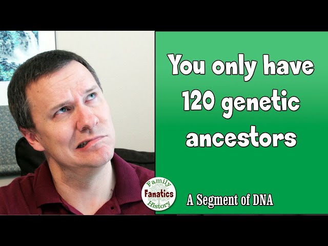 Why am I only related to 120 genetic ancestors?  | Genetic Genealogy