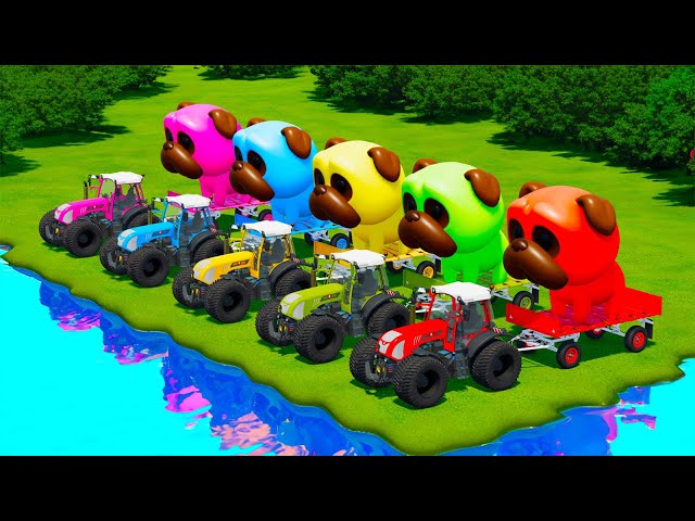 LOAD AND TRANSPORT GIANT DOGS WITH RIGI TRAC TRACTORS & JCB LOADERS - Farming Simulator 22