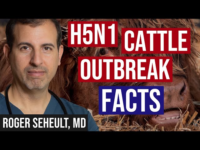H5N1 Cattle Outbreak: Background and Currently Known Facts