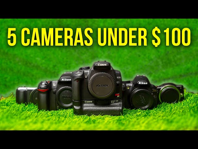 5 Awesome Cameras Under $100!