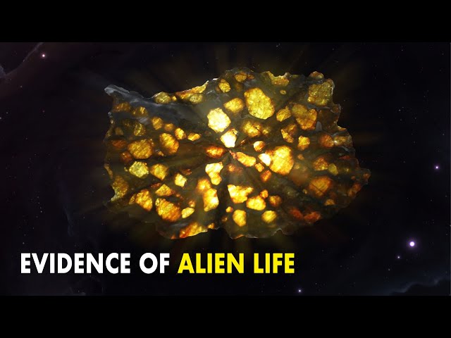 What if life is of extraterrestrial origin? New evidence found!