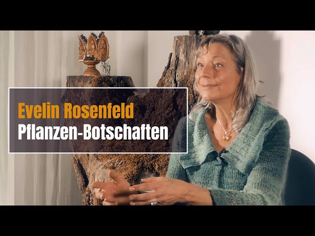 Evelin Rosenfeld - Pflanzenbotschaft & Seelenwege - Teil 2