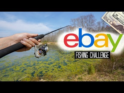 Budget Fishing Challenges