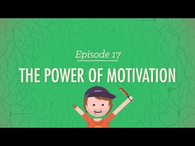The Power of Motivation: Crash Course Psychology #17