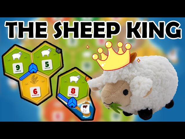 "Sheep are USELESS" ... *SHEEP KING ENTERS THE CHAT*
