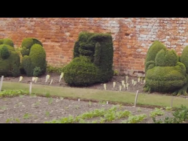 Xa Tollemache's Expert Formal Shaping of English Yew & Box Plants