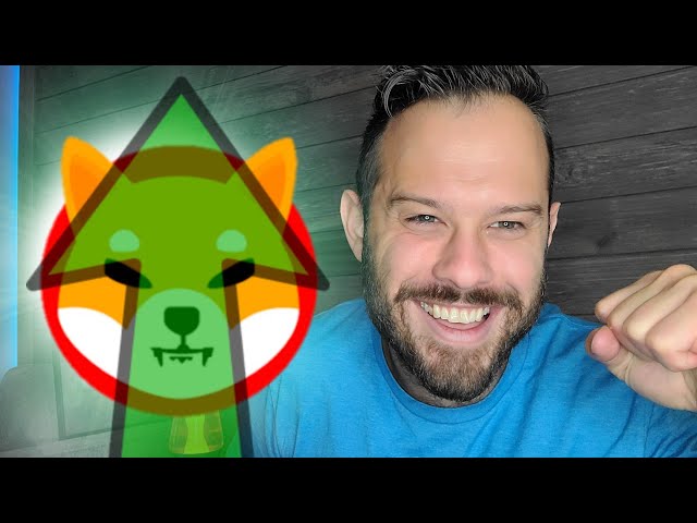 Shiba Inu Coin | All Time High Realistic Price Predictions! This is Where SHIB Could Be Headed!