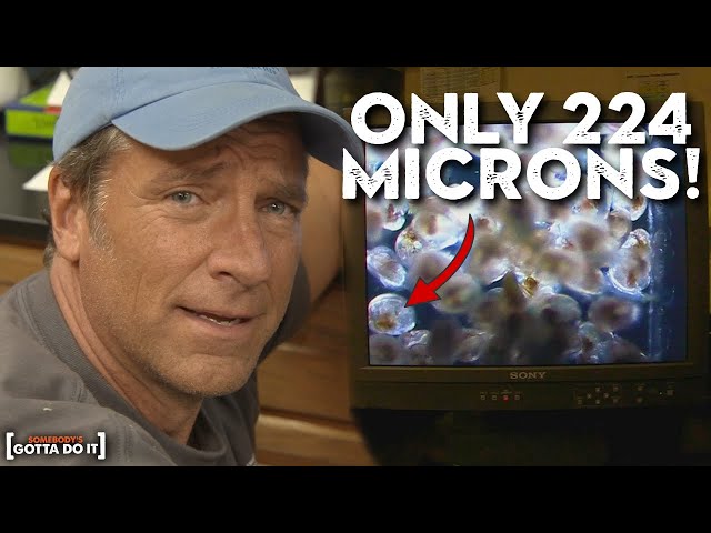 Mike Rowe Helps Breed Oysters: The "Kidneys" of the Chesapeake Bay | Somebody's Gotta Do It