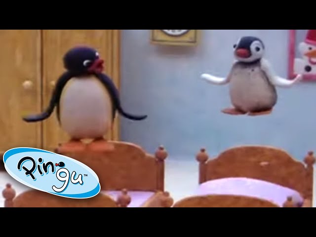 Pingu & Pinga's Sleepover Fun! | Pingu Official | Cartoons for Kids