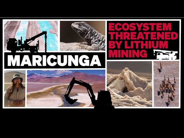 Maricunga: Ecosystem threatened by lithium mining (Documentary + Q&A with activists and thinkers)