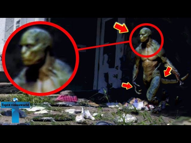 Top 8 Unbelievable Reptilians Creatures Caught On Camera & Spotted In Real Life