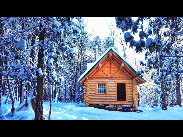 'One Last Build, Son.' - Log Cabin Build by Father & Son.