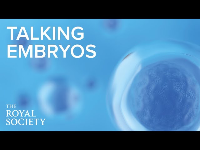 Talking embryos: changing public perceptions of embryo research  | The Royal Society