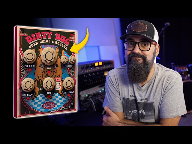 Dirty Dog Reverb - The Ultimate Reverb Distortion 🔥