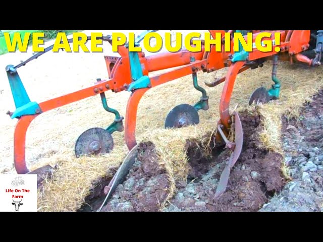 PLOUGHING A FIELD OF STONES!! Reseeding a field#farming #agri #farmer #irish #ploughing #reseeding