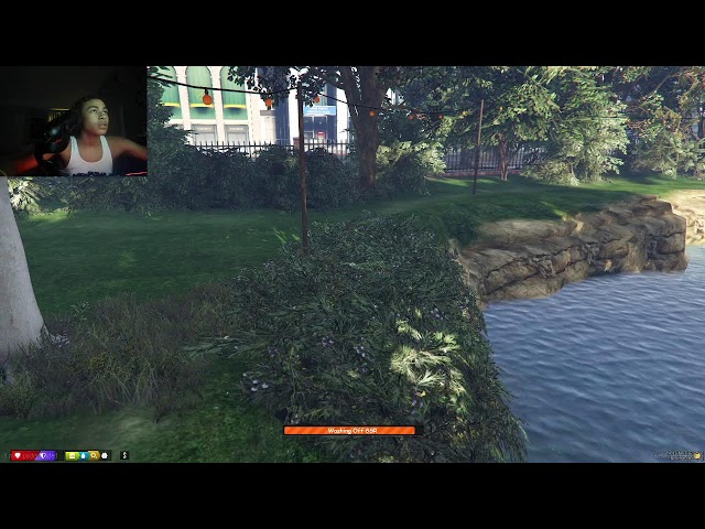 DD Osama Playing Grizzly World RP WL GTA RP