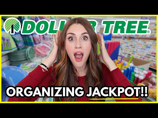 *NEW* ORGANIZATION SCORES AT DOLLAR TREE 🤩 (hacks and hidden finds you need to see!)