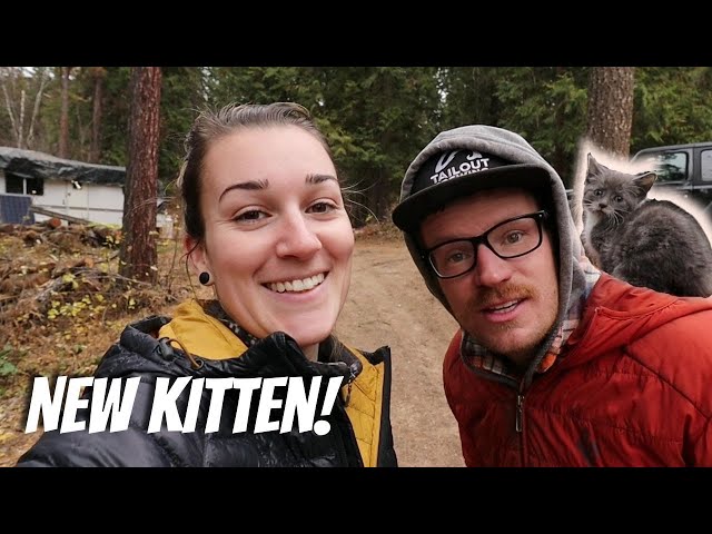 Getting Sh*t Done! Finishing Off Projects | Off Grid Weekend Chores | Meet Our New Kitty