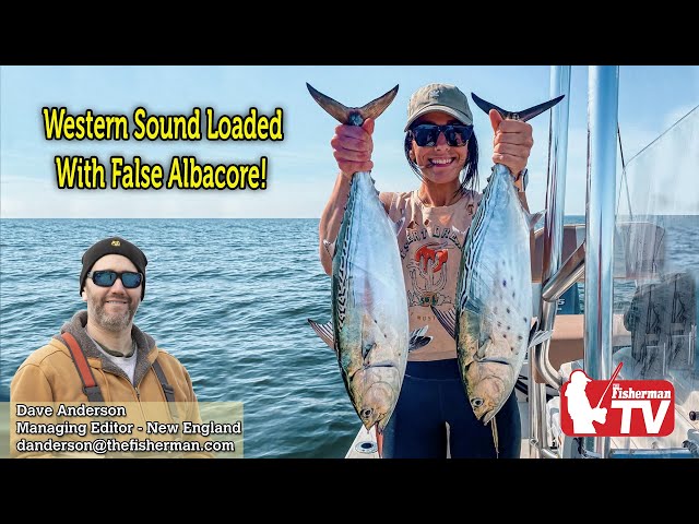 September 29, 2022  New England Video Fishing Forecast with Dave Anderson