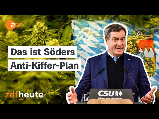 Härtere Strafen als fürs Rasen: Wie überzogen sind Bayerns Cannabis-Bußgelder?