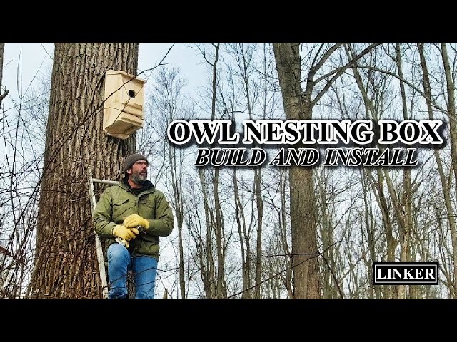 Owl Nesting Box -Build and Install