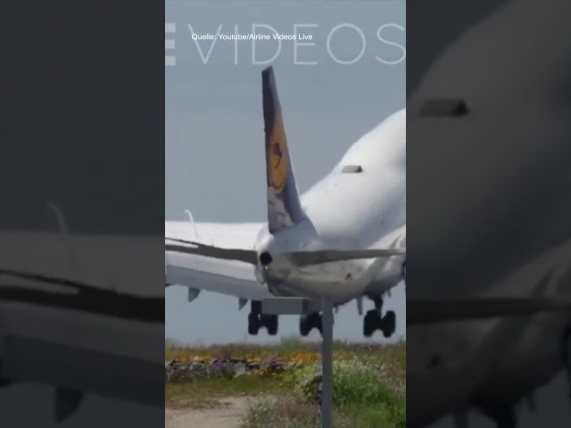 TOUCH AND GO: Lufthansa-Maschine stellt Nerven der Passagiere auf die Probe | WELT #shorts