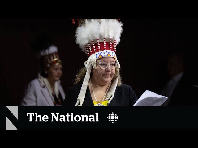 Air Canada apologizes to AFN national chief for trying to take headdress