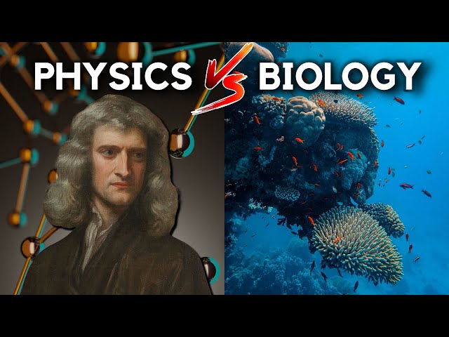 Can Biology Be Reduced To Physics?