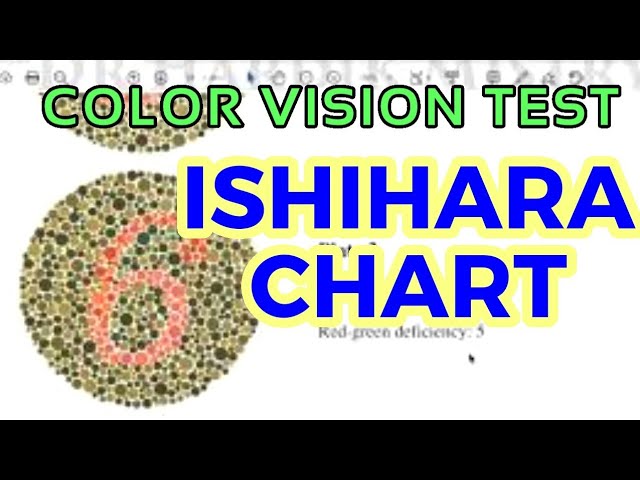 ISHIHARA CHART - COLOR VISION TEST | CLINICAL LAB | PHYSIOLOGY