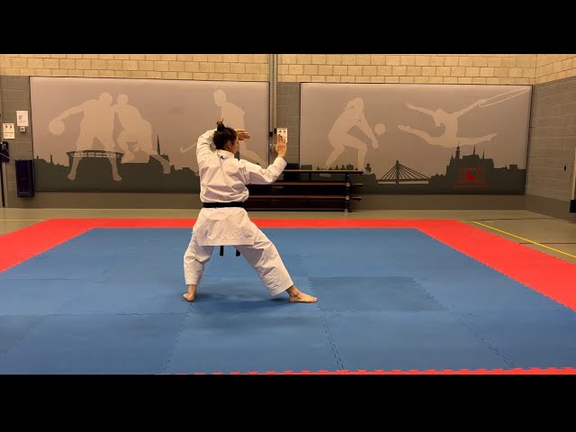 Heian Yondan -  heian kata tutorial for the blue belt Shotokan karate.