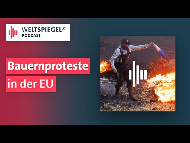 Bauern gegen Brüssel: Protestwelle überrollt Europa | Weltspiegel Podcast