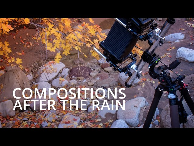 Scouting Subjects After The Rain | Large Format Photography Fall 2021 - Episode 5