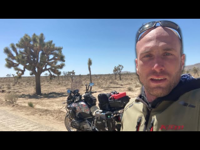 SOLO MOTORCYCLE CAMPING in JOSHUA TREE