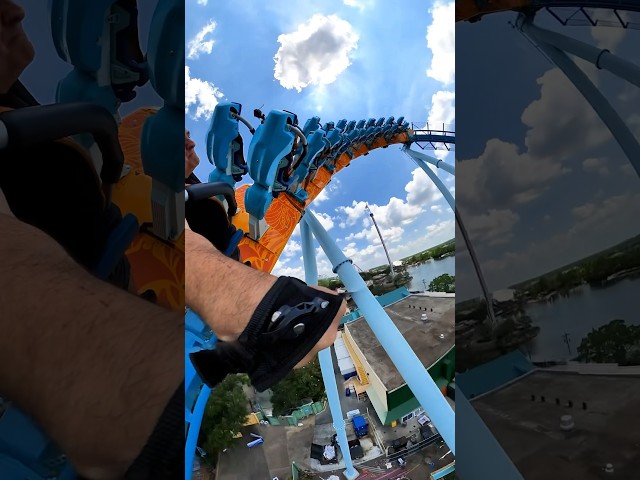 Pipeline Roller Coaster - SeaWorld Orlando