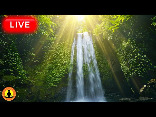 🔴 Relaxing Music with Nature Sounds 24/7, Calming Meditation Music, Study Focus Music, River Sounds